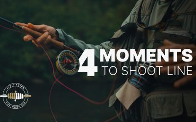 (VIDEO) Four Moments to Shoot Line