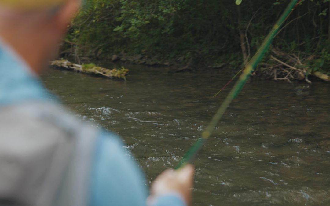 Dip and Swish — The Fly Rod Quick-Dip