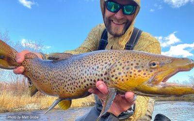 Lost Trout Are Your Fault — Streamer Fishing Myth v Truth