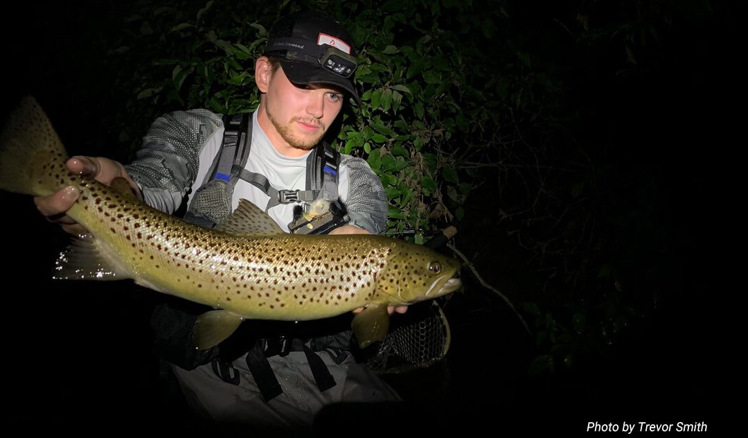 Night Fishing for Trout — Fight or Flight