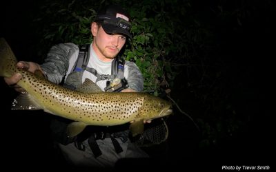 Night Fishing for Trout — Fight or Flight