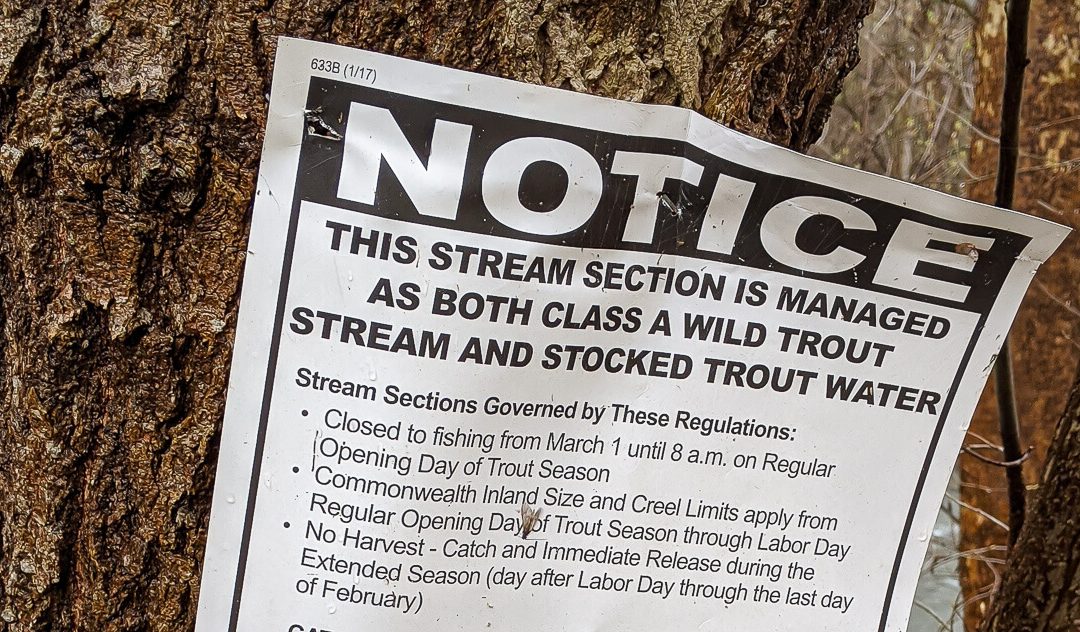 The Mismanagement of “Class A” Wild Trout