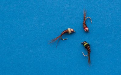 Fifty Fly Fishing Tips: #25 — Confidence is King — Find your favorite fly theme and vary it