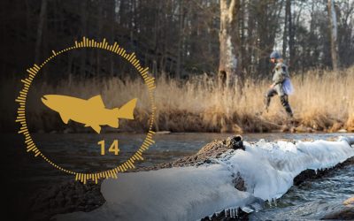 Podcast Ep 14:  Winter Fly Fishing Tips and Tactics