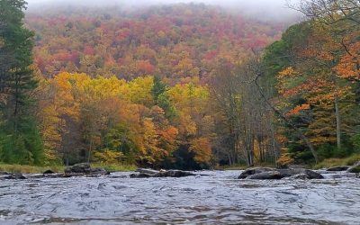 Penns Creek Catch-and-Release Miles Doubled — Yes, You Did It