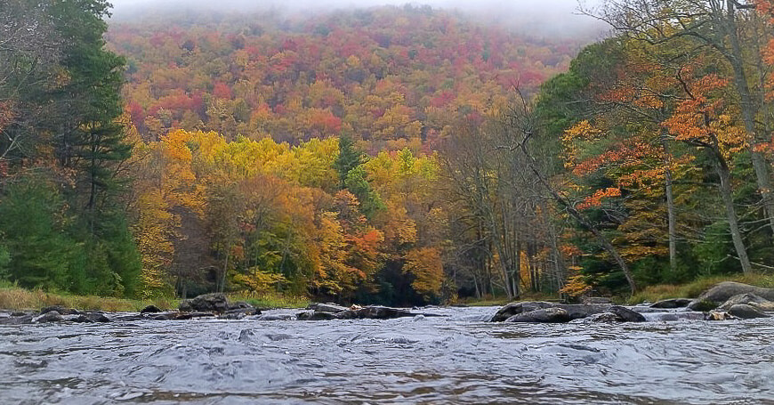 Penns Creek Catch-and-Release Miles Doubled — Yes, You Did It