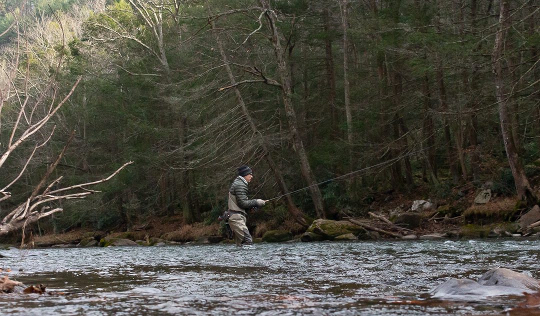 Stick the Landing While Tight Lining