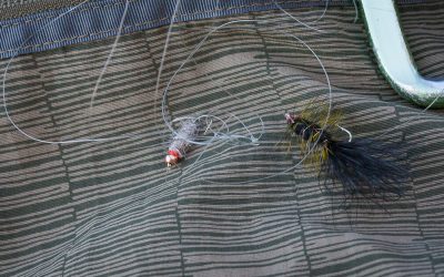 Fly Fishing Strategies: Tangle-Free Tandem Rigs