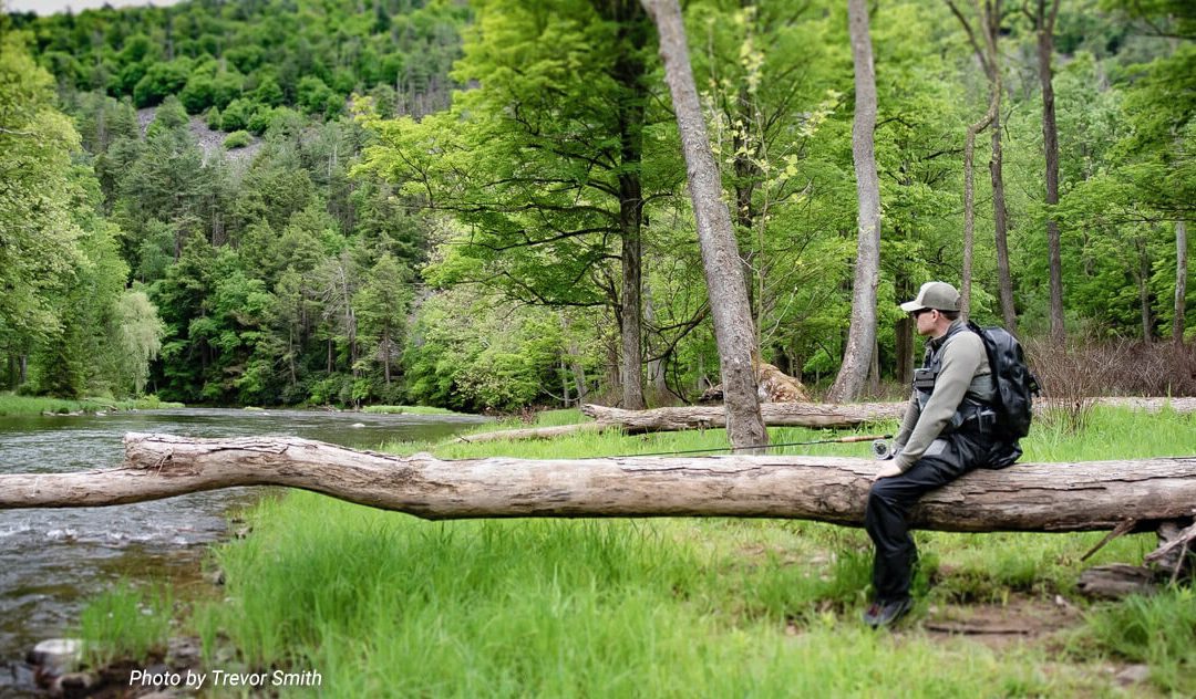 Why Are Summer Trout Harder to Catch?