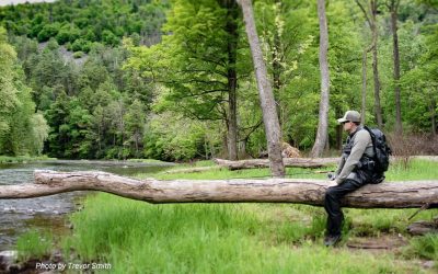 Why Are Summer Trout Harder to Catch?