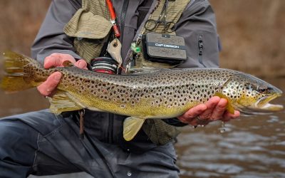 Euro Nymphing and the Mono Rig