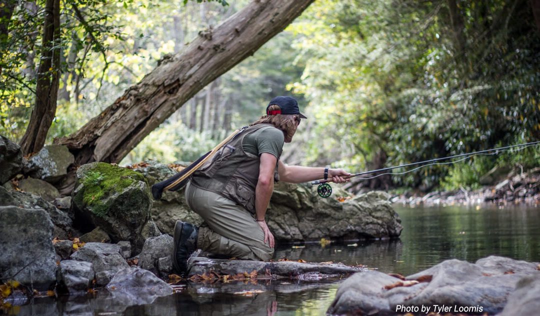 Troutbitten Opinion: Nicholas Meats, LLC vs Fishing Creek