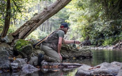 Troutbitten Opinion: Nicholas Meats, LLC vs Fishing Creek