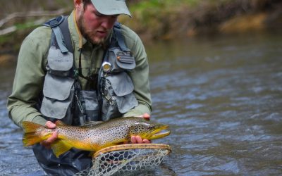 Fifty Fly Fishing Tips: #42 — Work into the Prime Spots