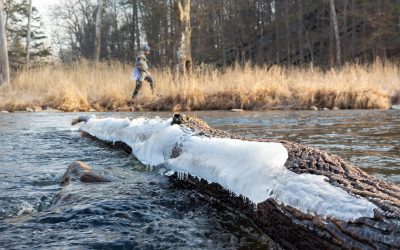 Fly Fishing in the Winter — Egg Tips