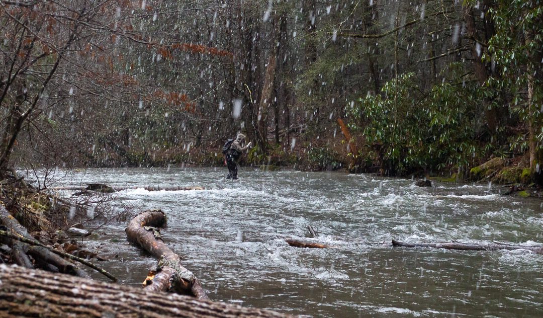 Fly Fishing Gear: What to Spend On and What to Skimp On