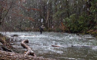 Fly Fishing Gear: What to Spend On and What to Skimp On