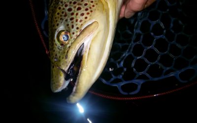 Night Fishing for Trout — You’re gonna need a bigger rope