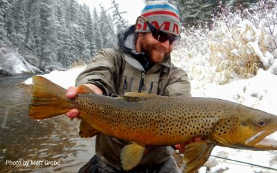 Fly Fishing in the Winter — Head, Shoulders, Knees and Toes