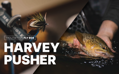 Troutbitten Fly Box — The Harvey Pusher Night Fly (with VIDEO)